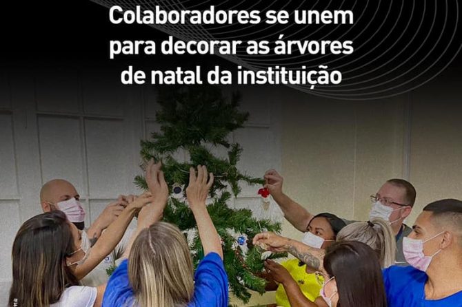 Colaboradores se unem para decorar as árvores de natal da instituição